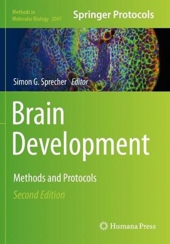 Brain development simon g - brain,