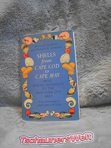 Shells from cape cod - from, to