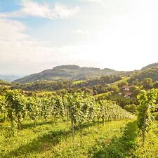 Kurztrip Hotel Österreich | 2 P inkl. HP | 3 Nächte Angebot | Burgenland Berge