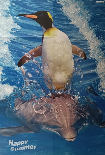 Pinguin delfin xxl poster - xxl,