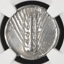 Lucania Metapontum AR Silver