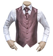 Herren Weste Festlich Hochzeit Event Party