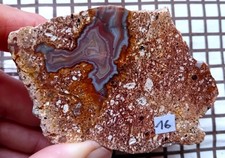 SELTEN: Achat Minkwitz