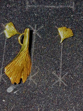 Ginko Schmuckset 750 er