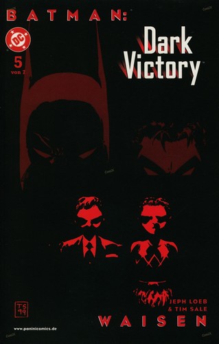 Batman dark victory - batman,