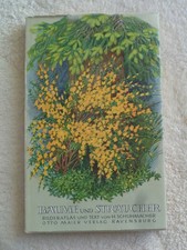 Bestimmungsbuch Bäume und Sträucher,  Farbige Tafeln und Text