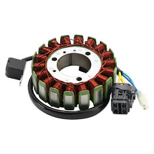 Stator Lichtmaschine für