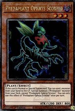 Predaplant Ophrys Scorpio