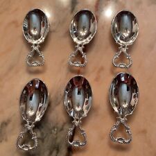 Vorspeise amuse gueule Löffel Versilbert 6 Stück