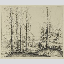 Augustin Hirschvogel