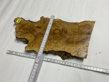 Olivenholz - Stamm -