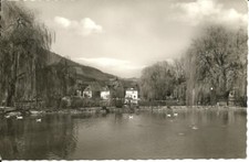 AK Annweiler am Trifels - Kurparkteich, Markwardanlage, Enten, Ortsbild von 1957