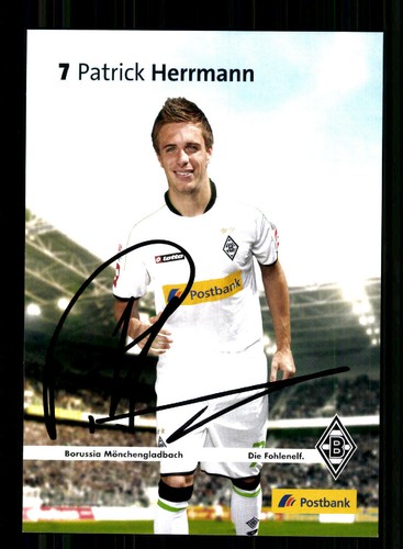 Patrick herrmann borussia - patrick,