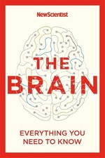 The Brain: Everything You Need