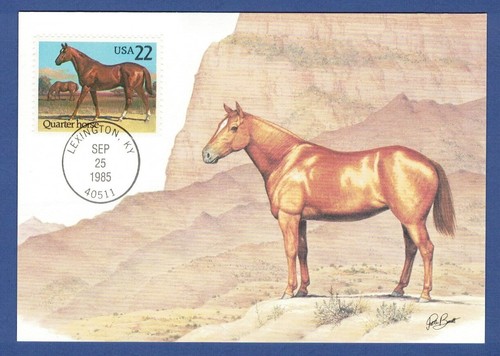 Maximumkarte usa 1985 pferde - maximumkarte, 1985,