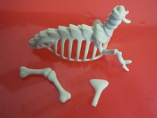 Playmobil Skelett Dinosaurier