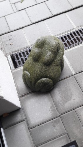 Grauer frosch granit stein - frosch,