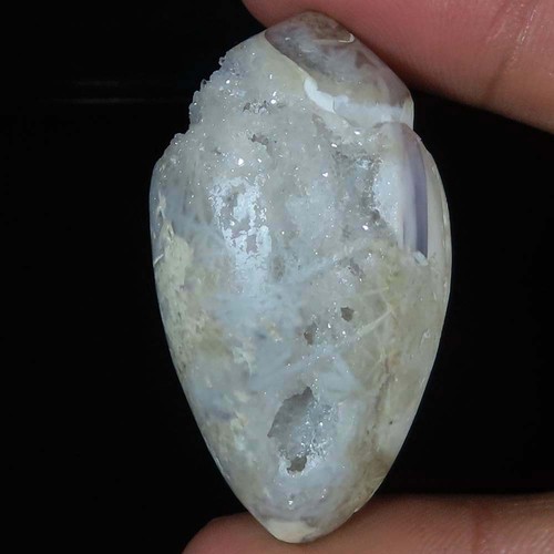 Natürlich fossil schnecke - natürlich,