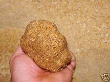 10 kg Basisfutter Angelfutter