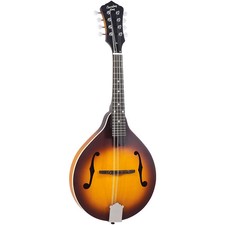 Recording King RAM-3 Dirty 30s