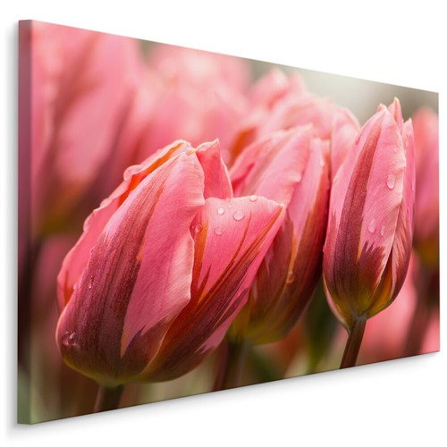 Canvas leinwand bilder - canvas,