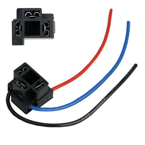 Fassung stecker sockel - fassung,