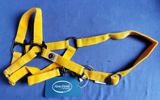 Loesdau Horse-friends Pony