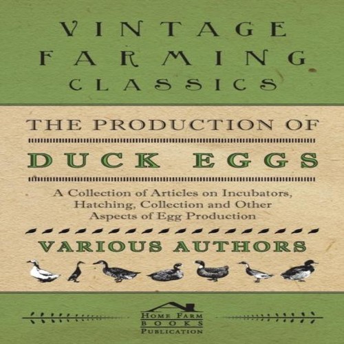 The production duck eggs - of,