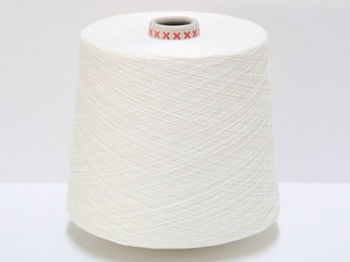 G41 850g reine - g41,