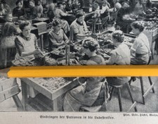 Deutsches Reich Munition Fabrik Rüstung 1917 Wumba Krieg 1.WK Platzpatrone   69