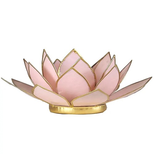 Lotus teelichthalter rosa - lotus,