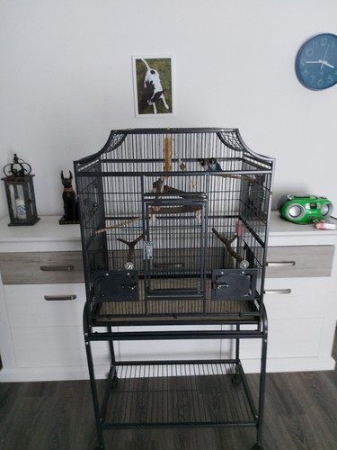Vogelkäfig aus metall auf - metall,