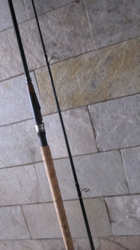 Quantum energy sea trout - energy,