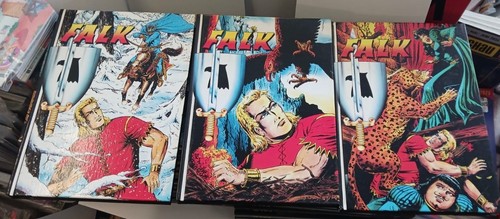 Falk buch 25 - 1,