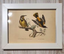 1852 Lithographie Kunstdruck