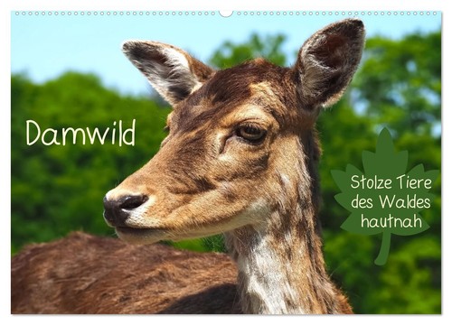 Damwild stolze tiere des - damwild,