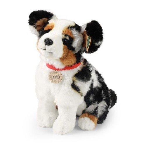 Australian spaniel cm - spaniel, h=29