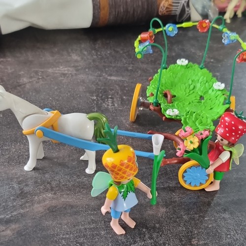 Playmobil spielset fee elfe - ,