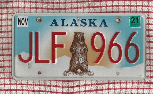 Alaska bear amerikanisches - alaska,