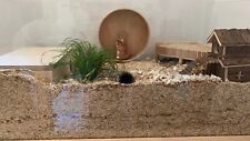 Hamstergehege inkl. Untergestell und viel Zubehör 100 x 50 x 50cm - Top Zustand