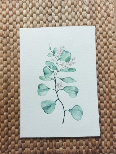 Aquarell bilder pflanzen - bilder,