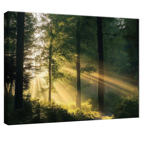 Leinwand bilder wald - leinwand,