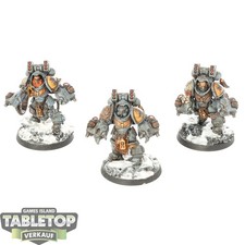 Space Wolves - 3 Aggressor