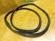 Türdichtung vorne links