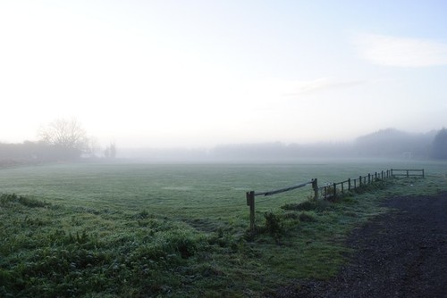 Foto abbey lane nebel - abbey,