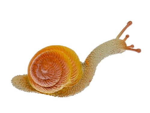 Schnecke brosche anstecknadel - schnecke,