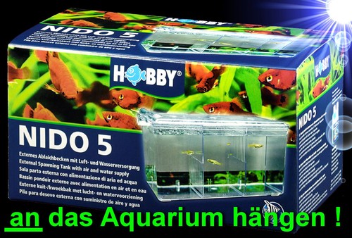 Aquarium ext - aquarium, 🍀ext