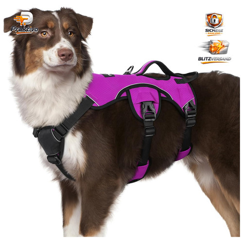 Hundegeschirr