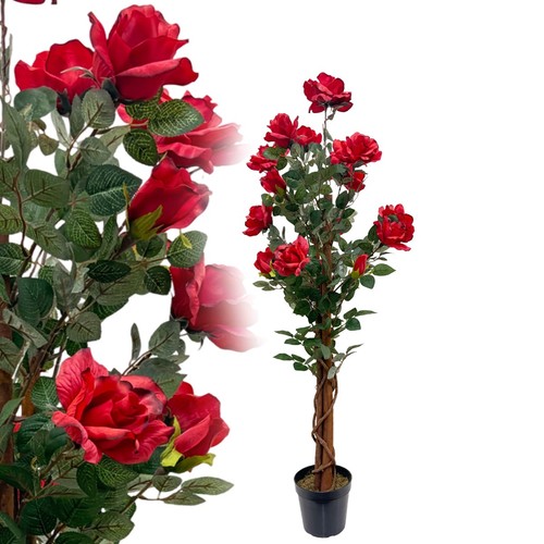 Rosenbaum 120 rot - 120, cm