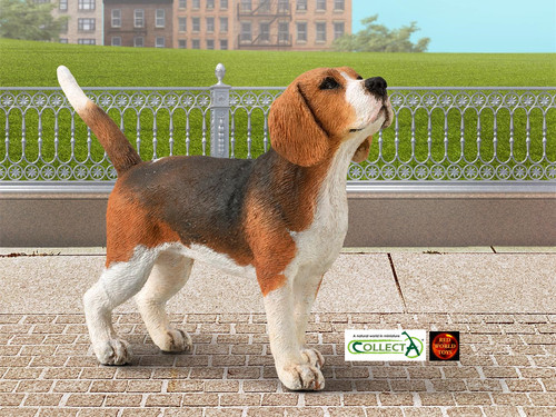 Beagle hundespielzeug modell - beagle,